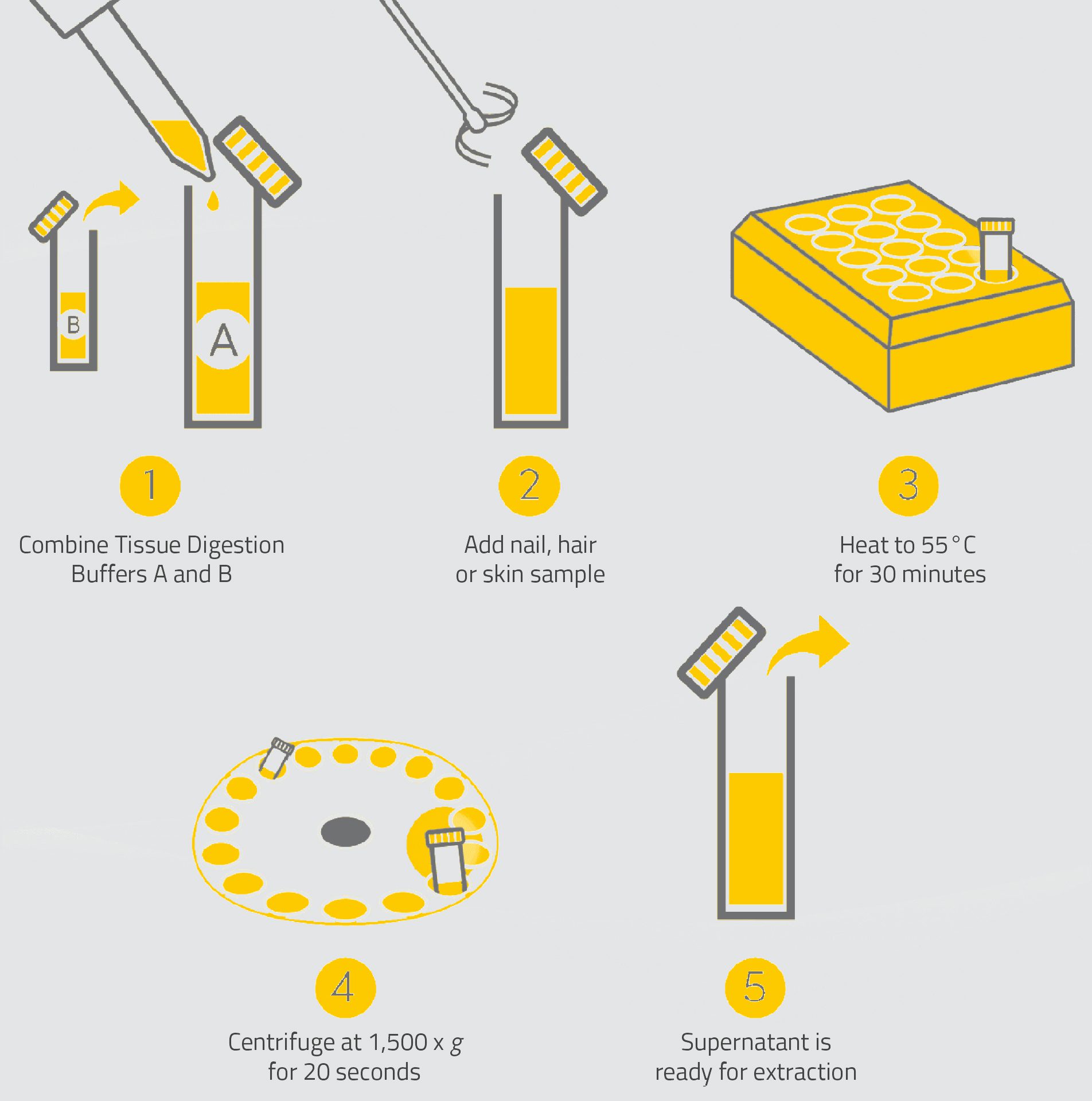 A step-by-step illustration of the Tissue Digestion Kit process, showing equipment used in sequential steps.